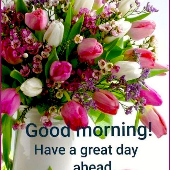 Meet your Posher, Chona - Picture 1 of 8